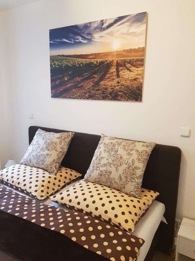 Apartman Rezidence ミクロフ エクステリア 写真